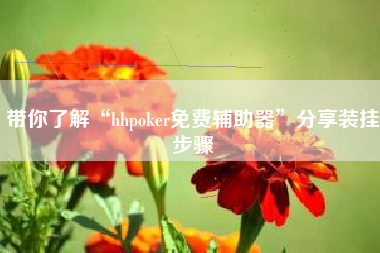 带你了解“hhpoker免费辅助器”分享装挂步骤