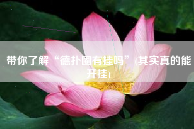 带你了解“德扑圈有挂吗”(其实真的能开挂)