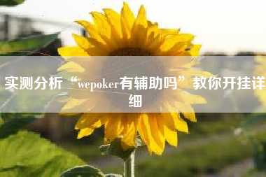 实测分析“wepoker有辅助吗”教你开挂详细