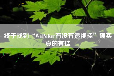 终于找到“WePoKer有没有透视挂”确实真的有挂