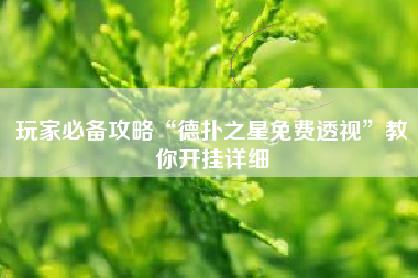 玩家必备攻略“德扑之星免费透视”教你开挂详细