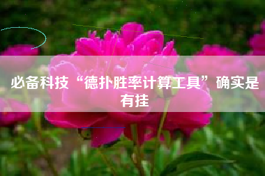 必备科技“德扑胜率计算工具”确实是有挂