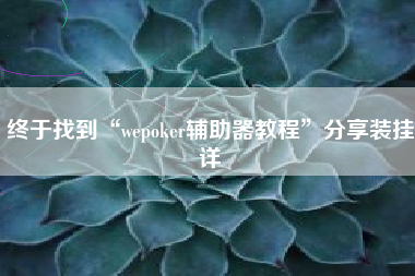 终于找到“wepoker辅助器教程	”分享装挂详