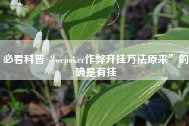 必看科普“wepoker作弊开挂方法原来”的确是有挂