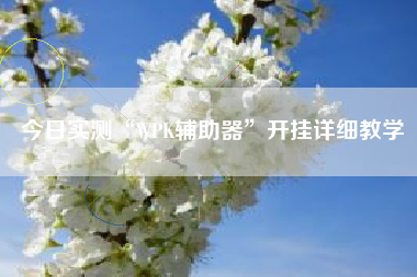 今日实测“WPK辅助器”开挂详细教学