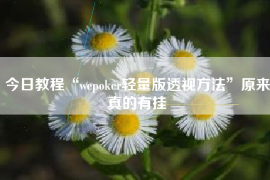 今日教程“wepoker轻量版透视方法”原来真的有挂