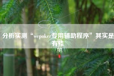 分析实测“wepoker专用辅助程序”其实是有挂