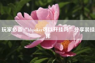 玩家必备“hhpoker可以开挂吗”分享装挂详
