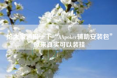 给大家通报一下“AApoker辅助安装包”原来真实可以装挂