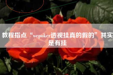 教程指点“wepoker透视挂真的假的	”其实是有挂