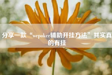 分享一款“wepoker辅助开挂方法”其实真的有挂