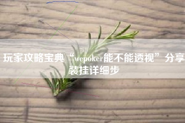 玩家攻略宝典“wepoker能不能透视”分享装挂详细步