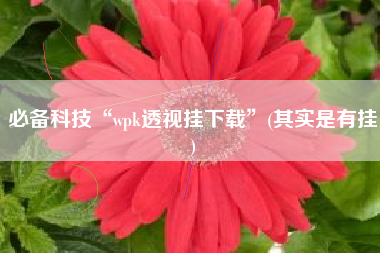 必备科技“wpk透视挂下载	”(其实是有挂)
