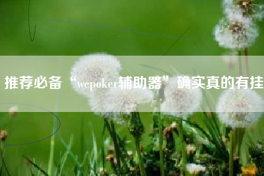 推荐必备“wepoker辅助器”确实真的有挂