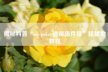 揭秘科普“we-poker透视插件挂”挂辅助教程
