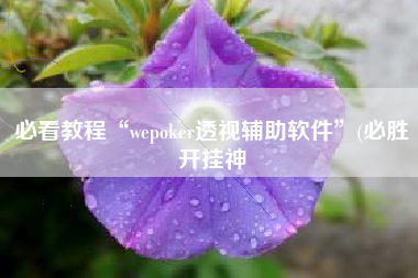 必看教程“wepoker透视辅助软件”(必胜开挂神