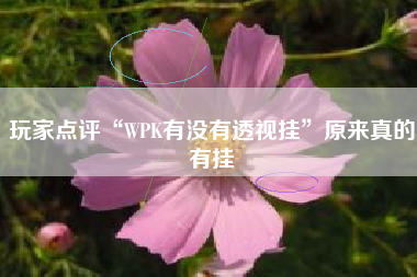 玩家点评“WPK有没有透视挂	”原来真的有挂