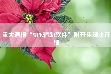 重大通报“WPK辅助软件”附开挂脚本详细