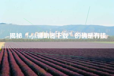 揭秘“wpk辅助器下载”的确是有挂