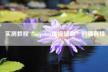 实测教程“wepoker透视辅助	”的确有挂