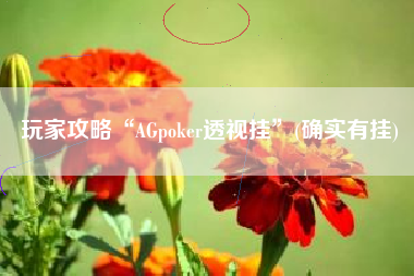 玩家攻略“AGpoker透视挂”(确实有挂)