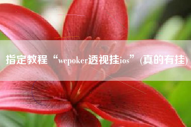 指定教程“wepoker透视挂ios	”(真的有挂)