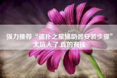 强力推荐“德扑之星辅助器安装步骤	”太坑人了,真的有挂