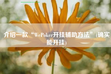 介绍一款“WePoker开挂辅助方法”(确实能开挂)