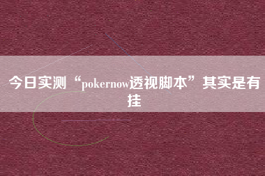 今日实测“pokernow透视脚本”其实是有挂
