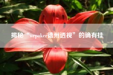 揭秘“wepoker德州透视”的确有挂