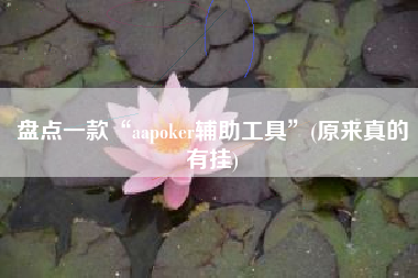 盘点一款“aapoker辅助工具”(原来真的有挂)