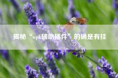 揭秘“wpk辅助插件”的确是有挂 揭秘“wpk辅助插件”的确是有挂
