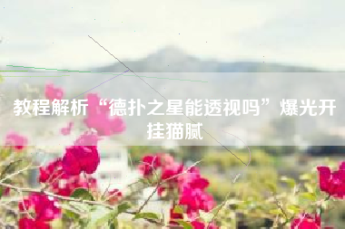 教程解析“德扑之星能透视吗”爆光开挂猫腻