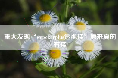重大发现“wepokerplus透视挂”原来真的有挂