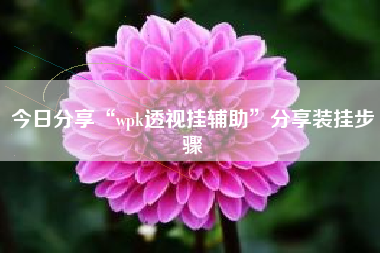 今日分享“wpk透视挂辅助”分享装挂步骤