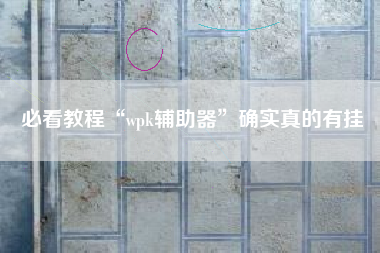 必看教程“wpk辅助器”确实真的有挂