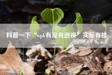 科普一下“wpk有没有透视	”实际有挂