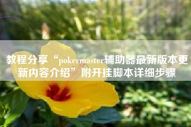 教程分享“pokermaster辅助器最新版本更新内容介绍	”附开挂脚本详细步骤