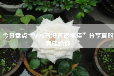 今日盘点“WPK有没有透视挂”分享真的有挂给你