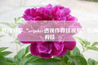 教程分享“wepoker透视作弊挂视频	”的确有挂