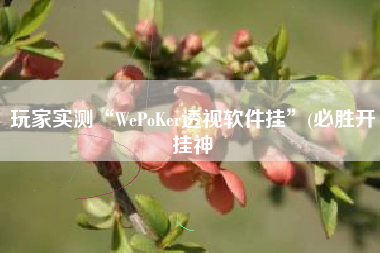 玩家实测“WePoKer透视软件挂”(必胜开挂神