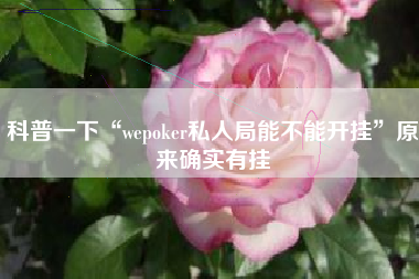 科普一下“wepoker私人局能不能开挂”原来确实有挂