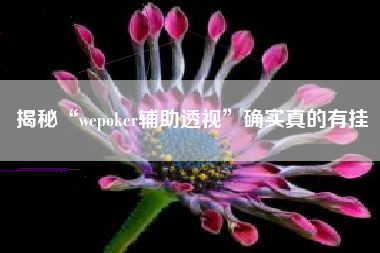 揭秘“wepoker辅助透视”确实真的有挂