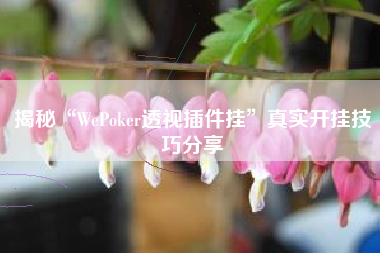 揭秘“WePoker透视插件挂”真实开挂技巧分享