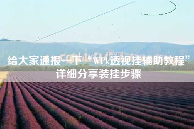 给大家通报一下“WPk透视挂辅助教程”详细分享装挂步骤