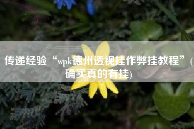 传递经验“wpk德州透视挂作弊挂教程	”(确实真的有挂)