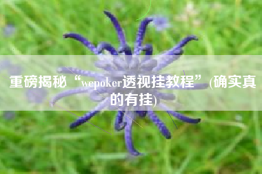 重磅揭秘“wepoker透视挂教程	”(确实真的有挂)