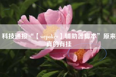 科技通报“【wepoker】辅助器脚本	”原来真的有挂