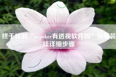 终于找到“wepoker有透视软件吗”分享装挂详细步骤