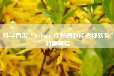 科学直击“WePoker作弊辅助挂透视软件	”的确有挂
